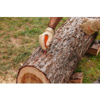 Stihl erdészeti szerszámok